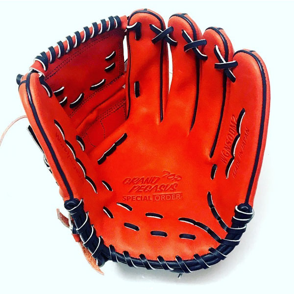 ワールドペガサス World Pegasus 野球 硬式 グローブ オーダーグラブ カスタムグローブ ピッチャー 投手