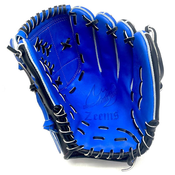 zeems オーダー 楽天市場】ジームス オーダーグラブ 軟式用 オーダーグローブ zeems