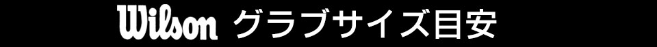 ウィルソングラブサイズ目安