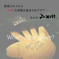 硬式グローブ / ディーバイエム オーダーグラブ 硬式グローブ / ディーバイエム オーダーグラブ