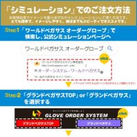 ワールドペガサスオーダーグラブ硬式用グランドペガサスTOPスペシャル野球グローブ硬式一般硬式グラブz-wp-tsp-kg