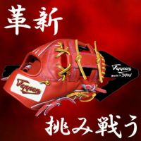 軟式グローブ / てっぺん オーダーグラブ スタンダードライン